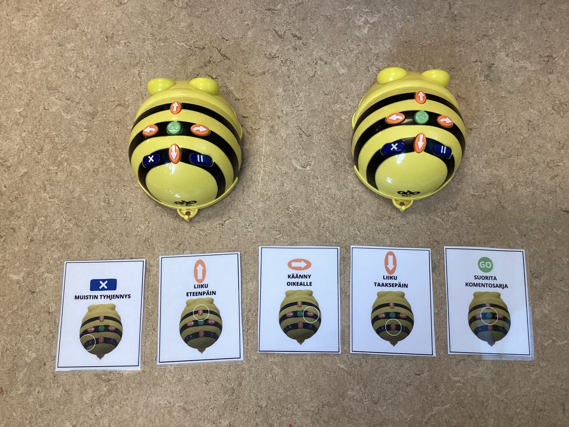 Kaksi Bee-bot robottia ja ohjelmointikortteja.