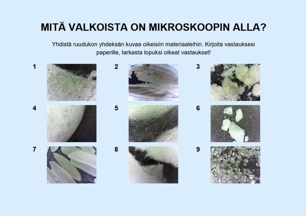 Kuva, jossa on valkoisia mikroskoopilla tutkittavia asioita